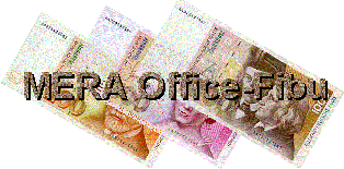 MERA Office-Fibu